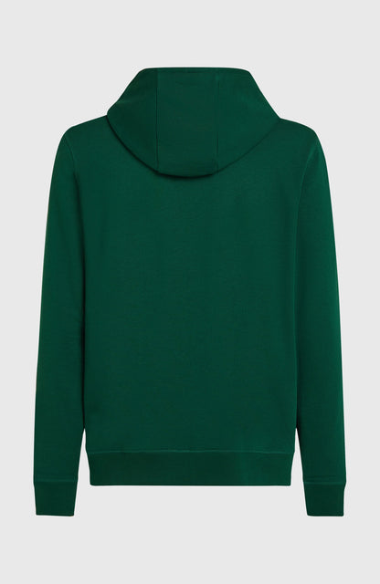 Small Logo Full-Zip Hoodie Men Emerald Envy