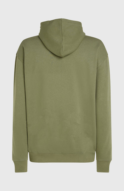 Future Surf Society Hoodie Men Avery Fern