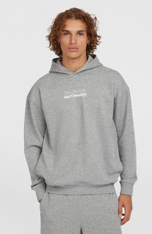Future Surf Society Hoodie Men Silver Melee