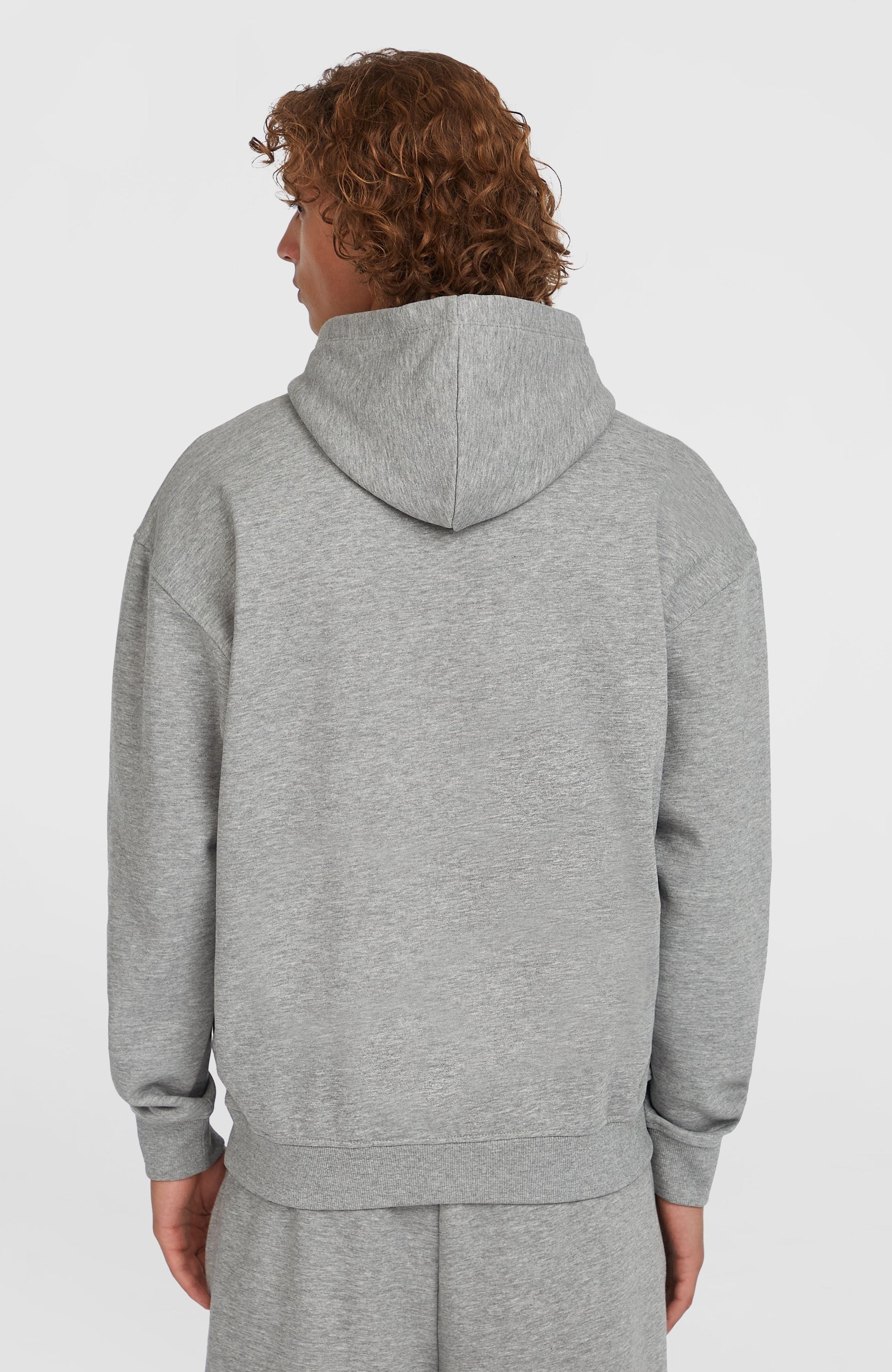 Future Surf Society Hoodie Men Silver Melee