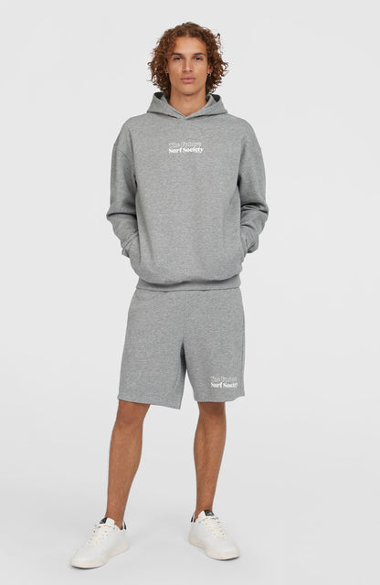 Future Surf Society Hoodie Men Silver Melee