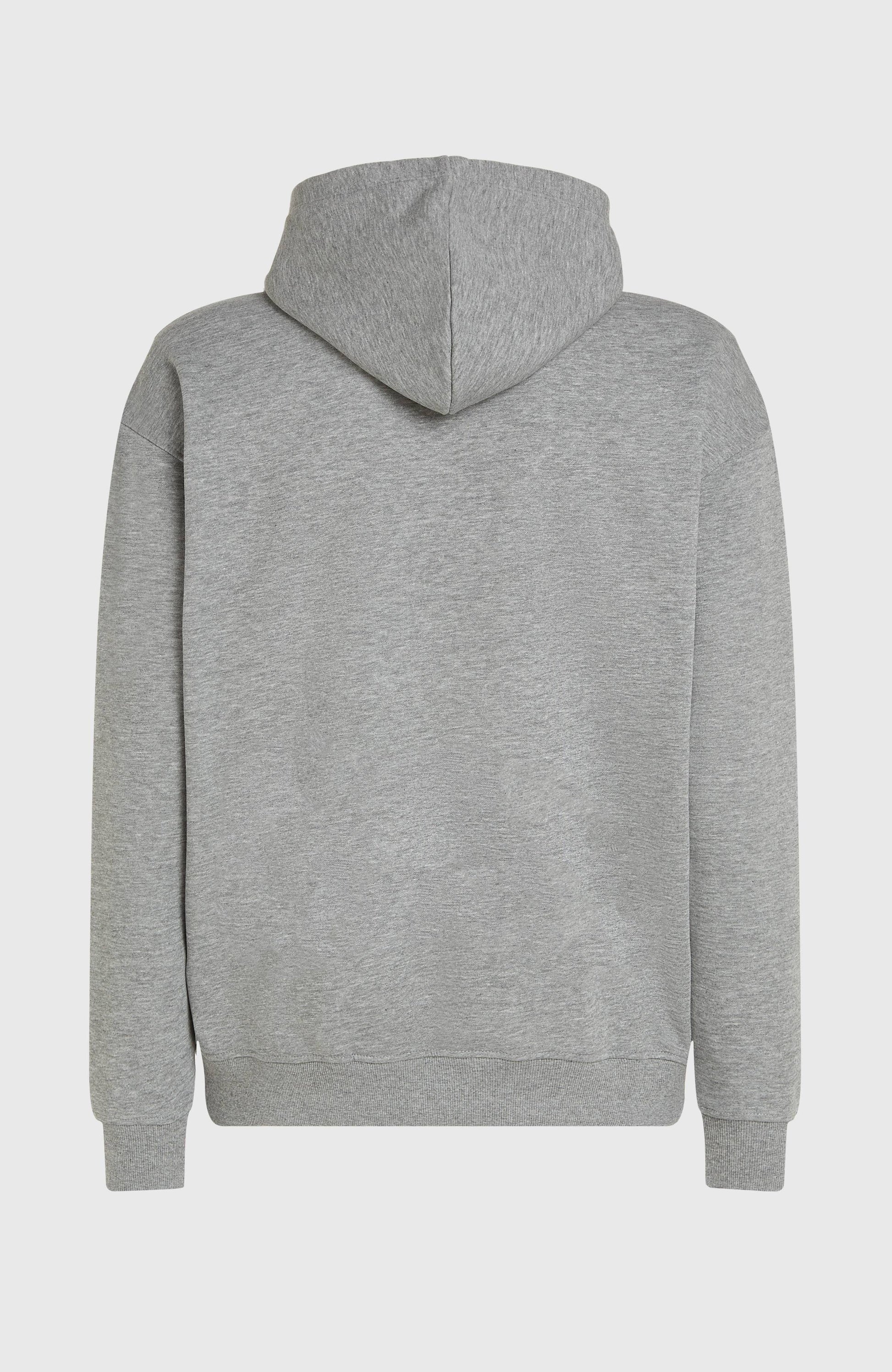 Future Surf Society Hoodie Men Silver Melee