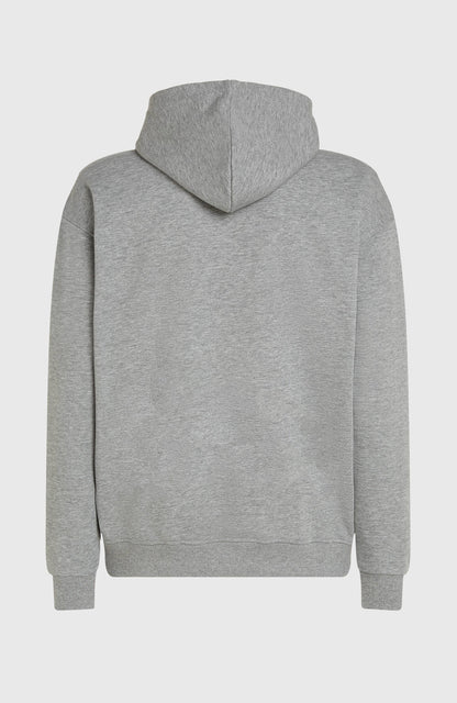 Future Surf Society Hoodie Men Silver Melee