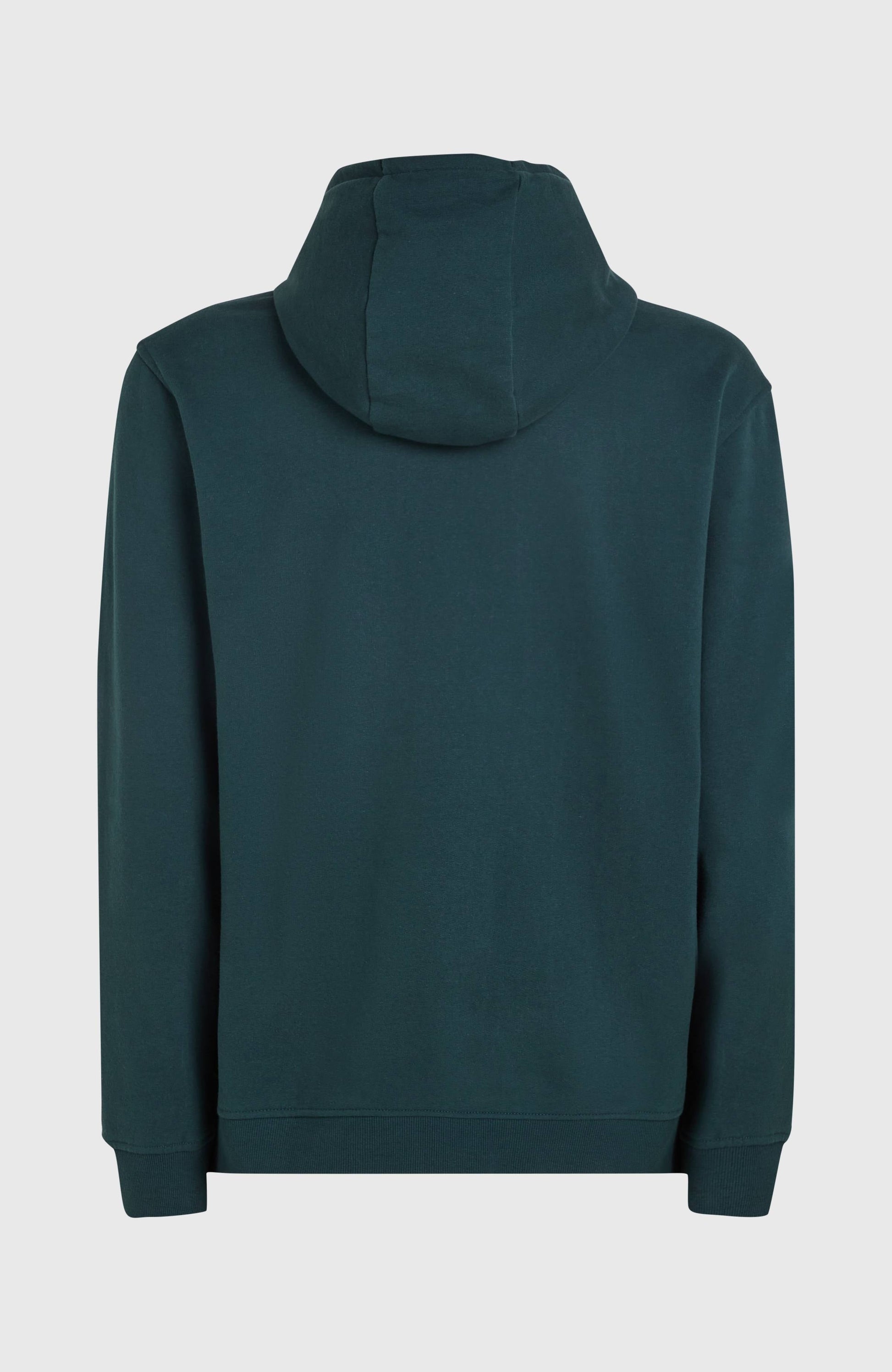 O'Neill Front Print Hoodie Men Alma Steel