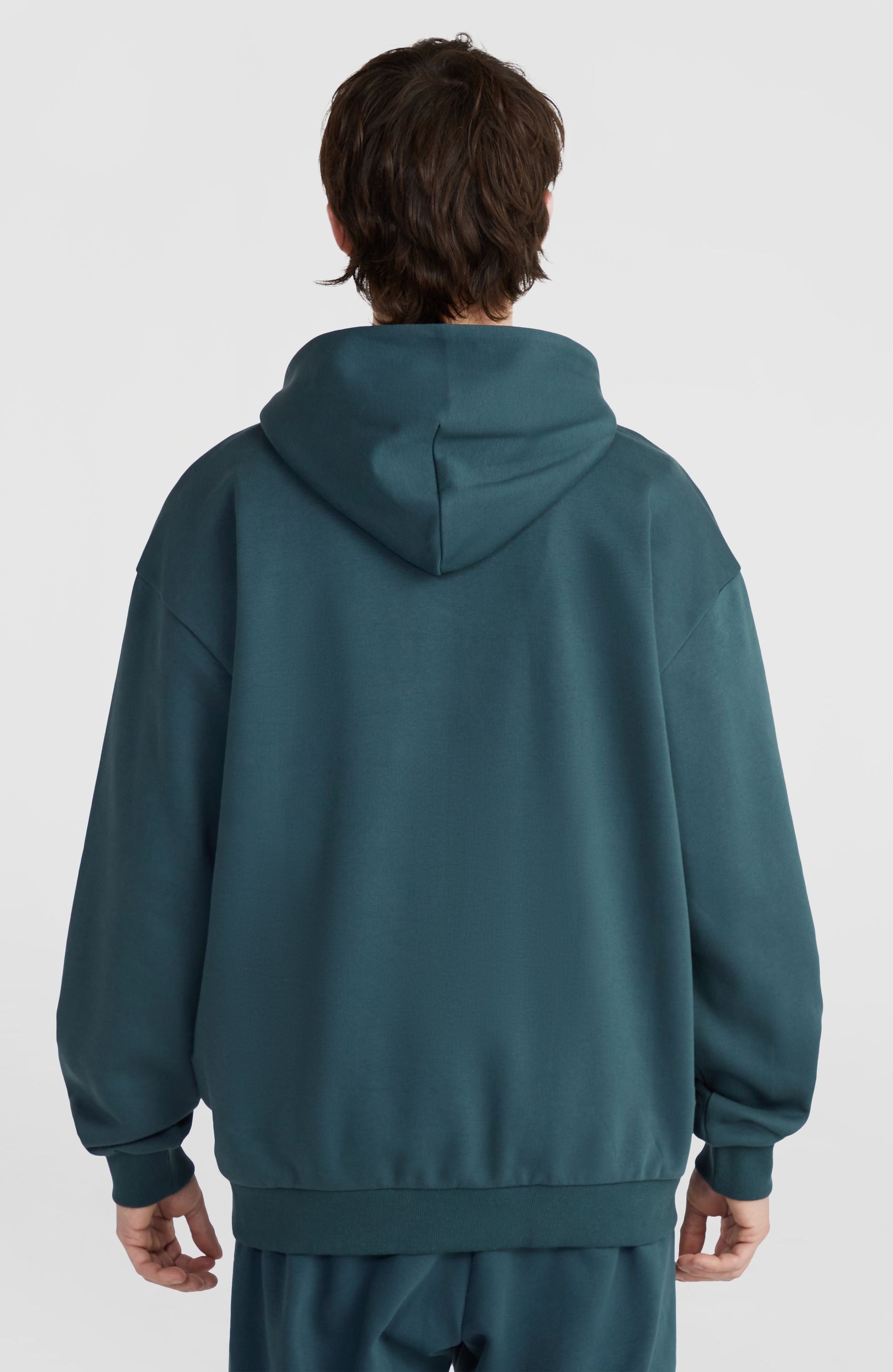 Future Surf Society Hoodie Men Alma Steel