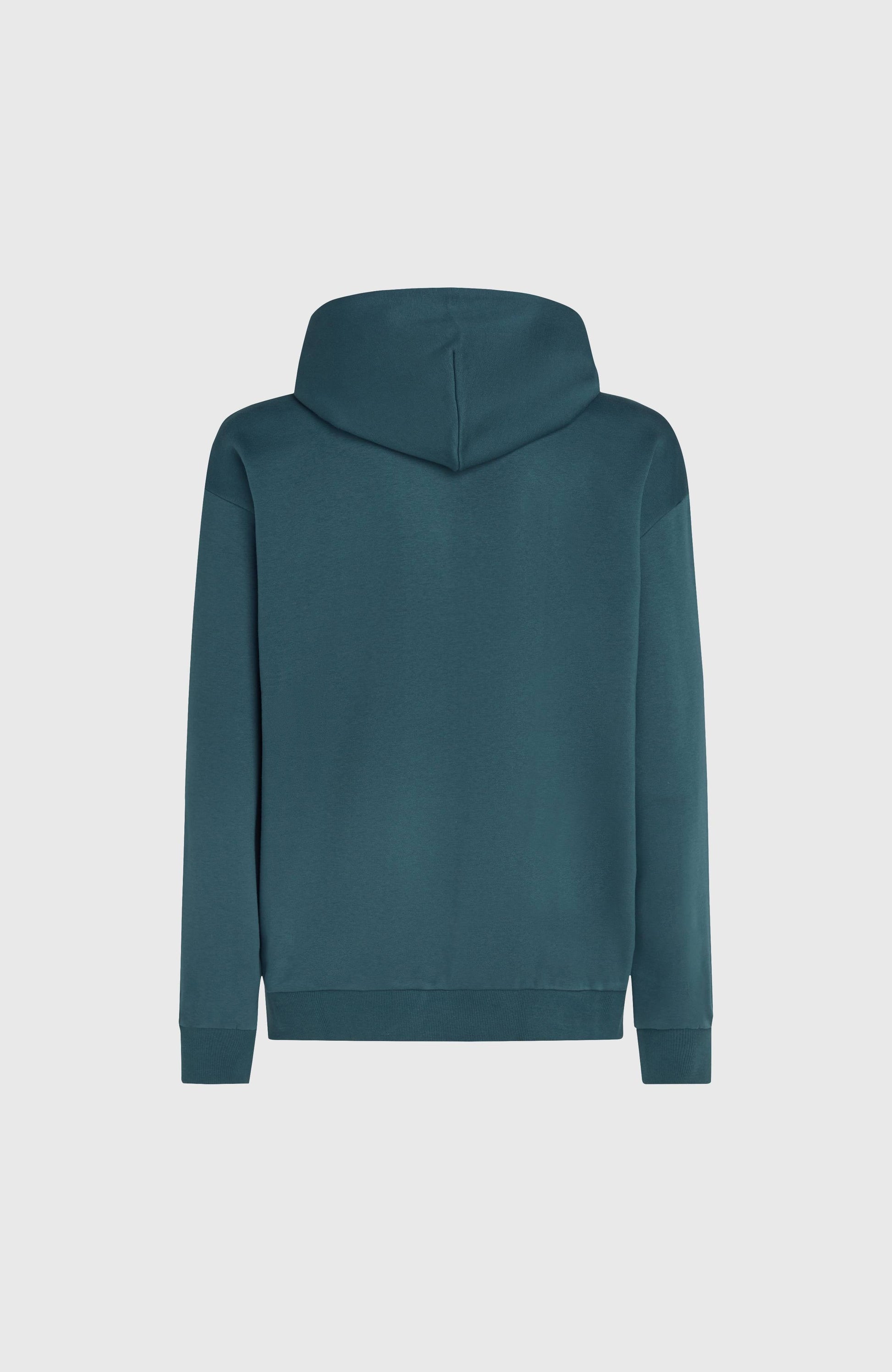 Future Surf Society Hoodie Men Alma Steel