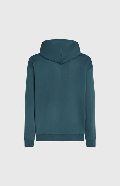 Future Surf Society Hoodie Men Alma Steel