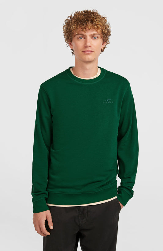 Small Logo Crew Sweatshirt Men Emerald Envy