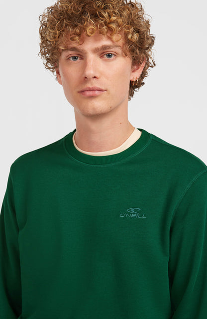 Small Logo Crew Sweatshirt Men Emerald Envy