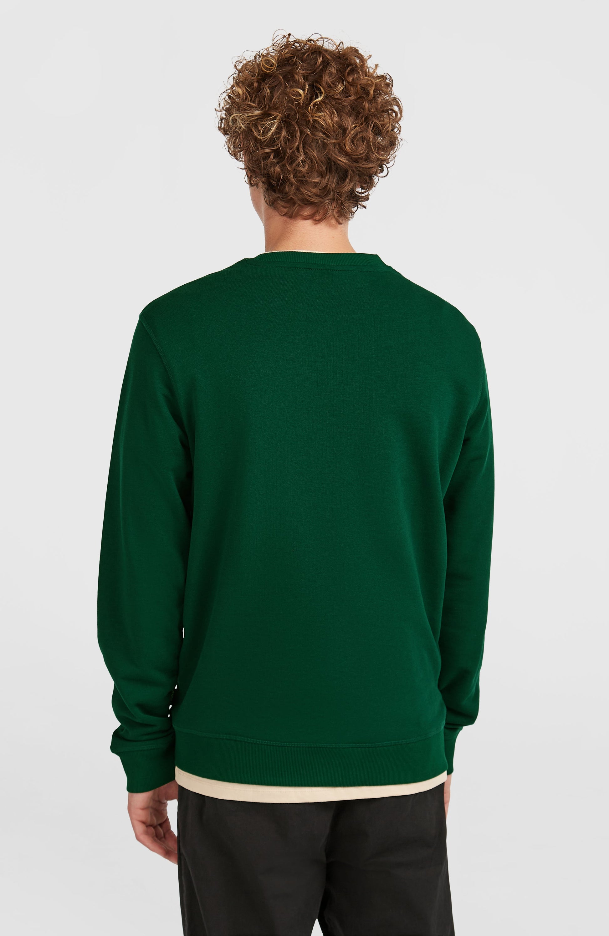 Small Logo Crew Sweatshirt Men Emerald Envy
