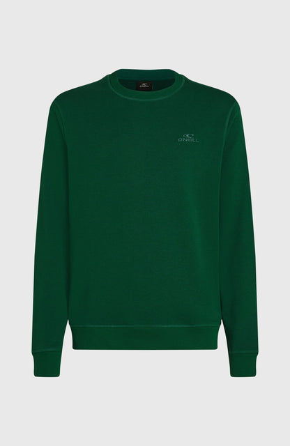 Small Logo Crew Sweatshirt Men Emerald Envy