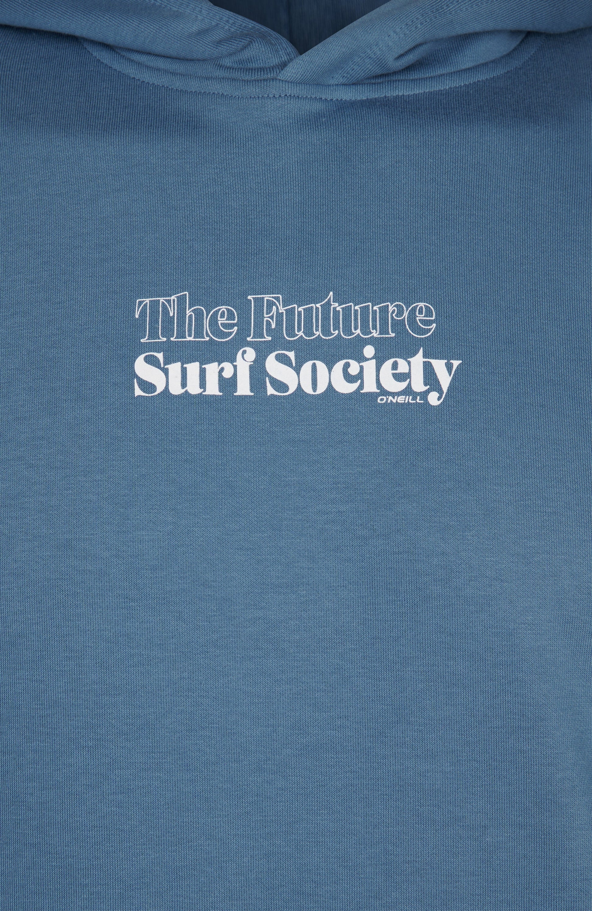 Future Surf Society Hoodie Men Copen Blue