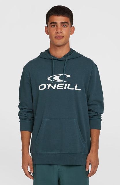 Logo Hoodie Men Alma Steel