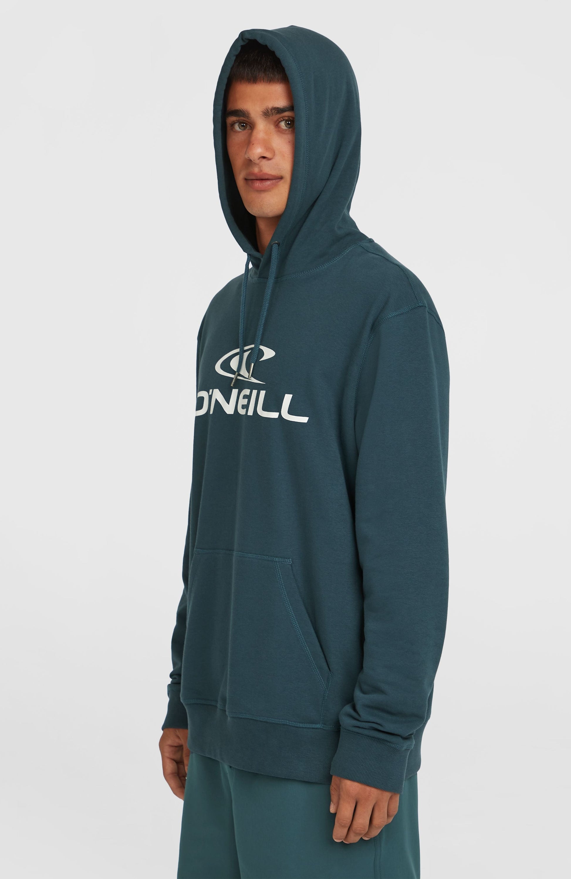 Logo Hoodie Men Alma Steel