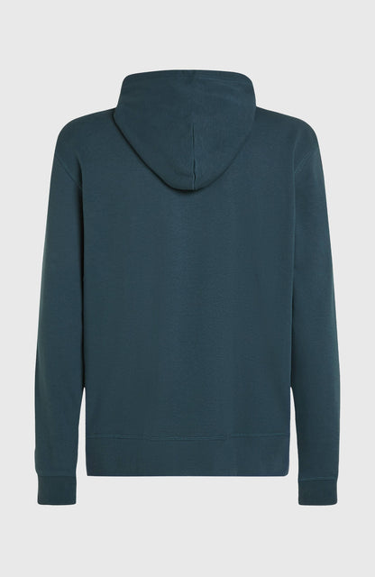 Logo Hoodie Men Alma Steel