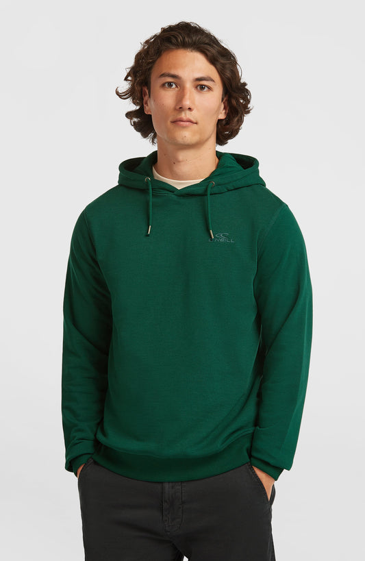 Small Logo Hoodie Men Emerald Envy