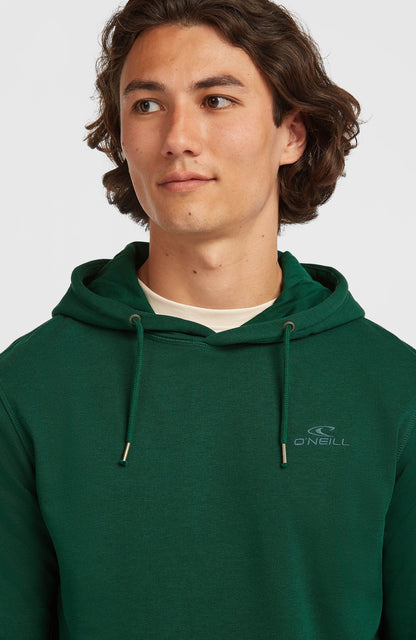 Small Logo Hoodie Men Emerald Envy