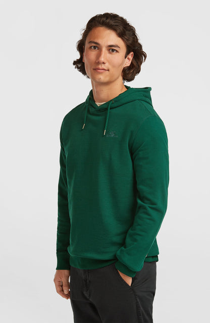 Small Logo Hoodie Men Emerald Envy