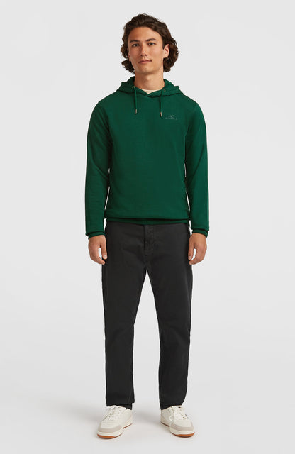 Small Logo Hoodie Men Emerald Envy