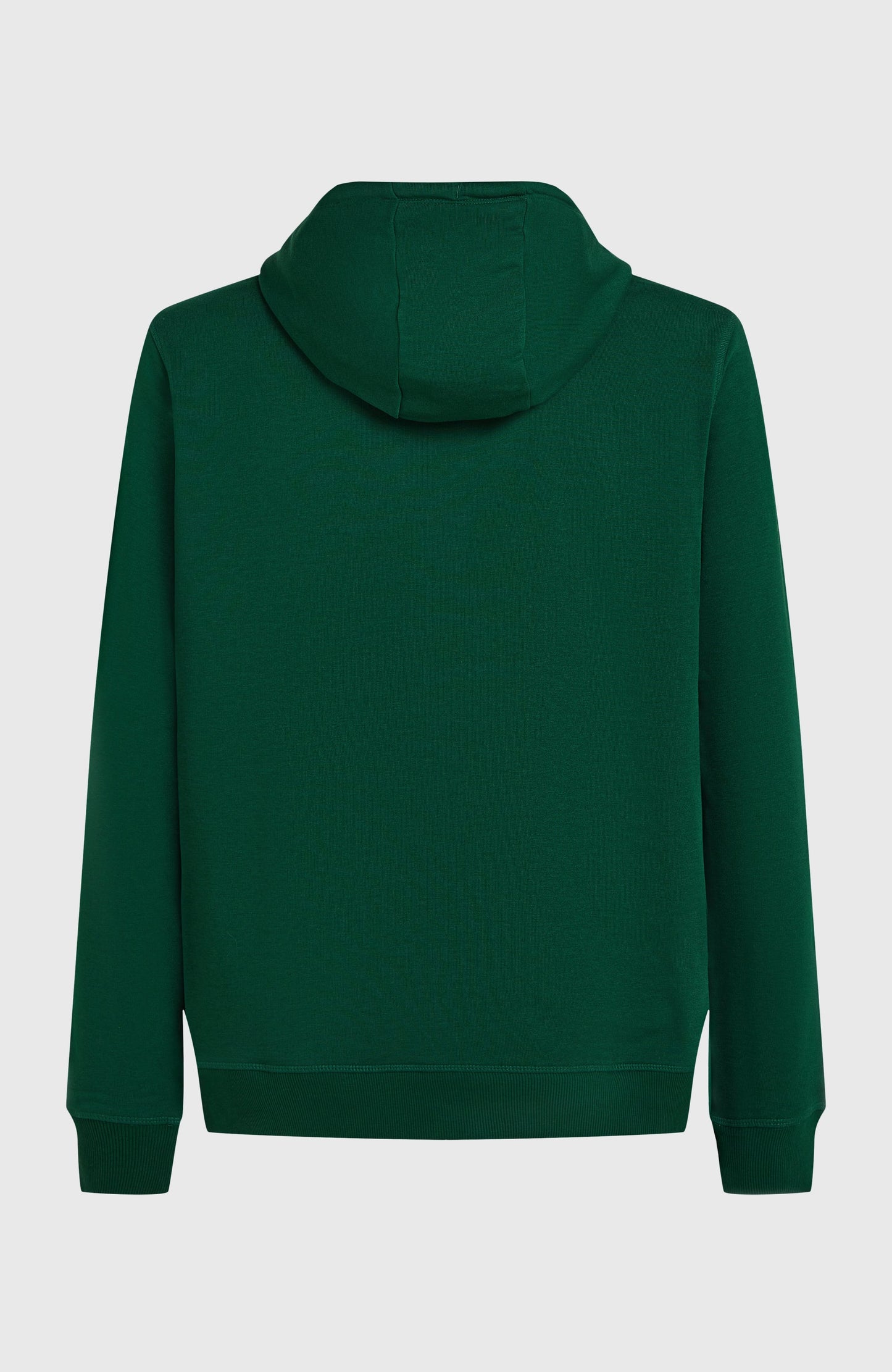 Small Logo Hoodie Men Emerald Envy