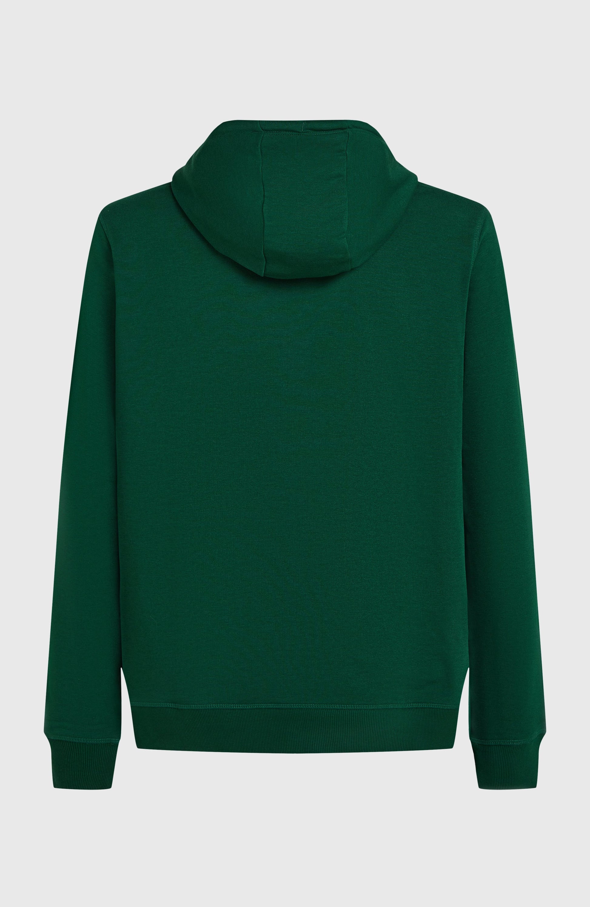 Small Logo Hoodie Men Emerald Envy