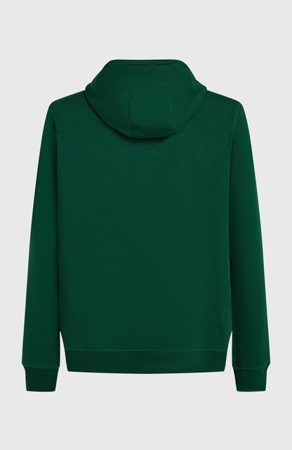 Small Logo Hoodie Men Emerald Envy