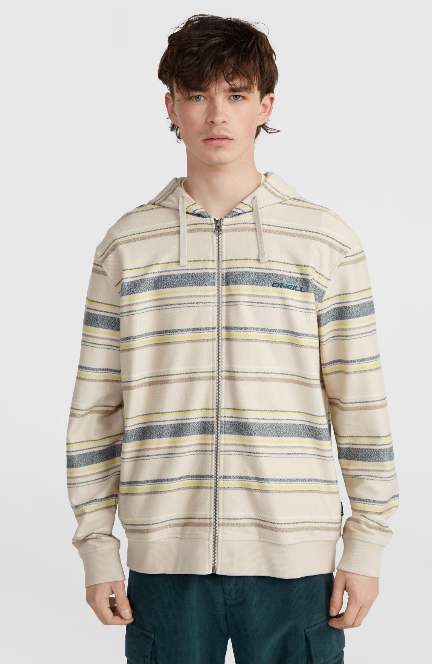 Bavaro Full-Zip Hoodie Men Grey Vintage Stripe