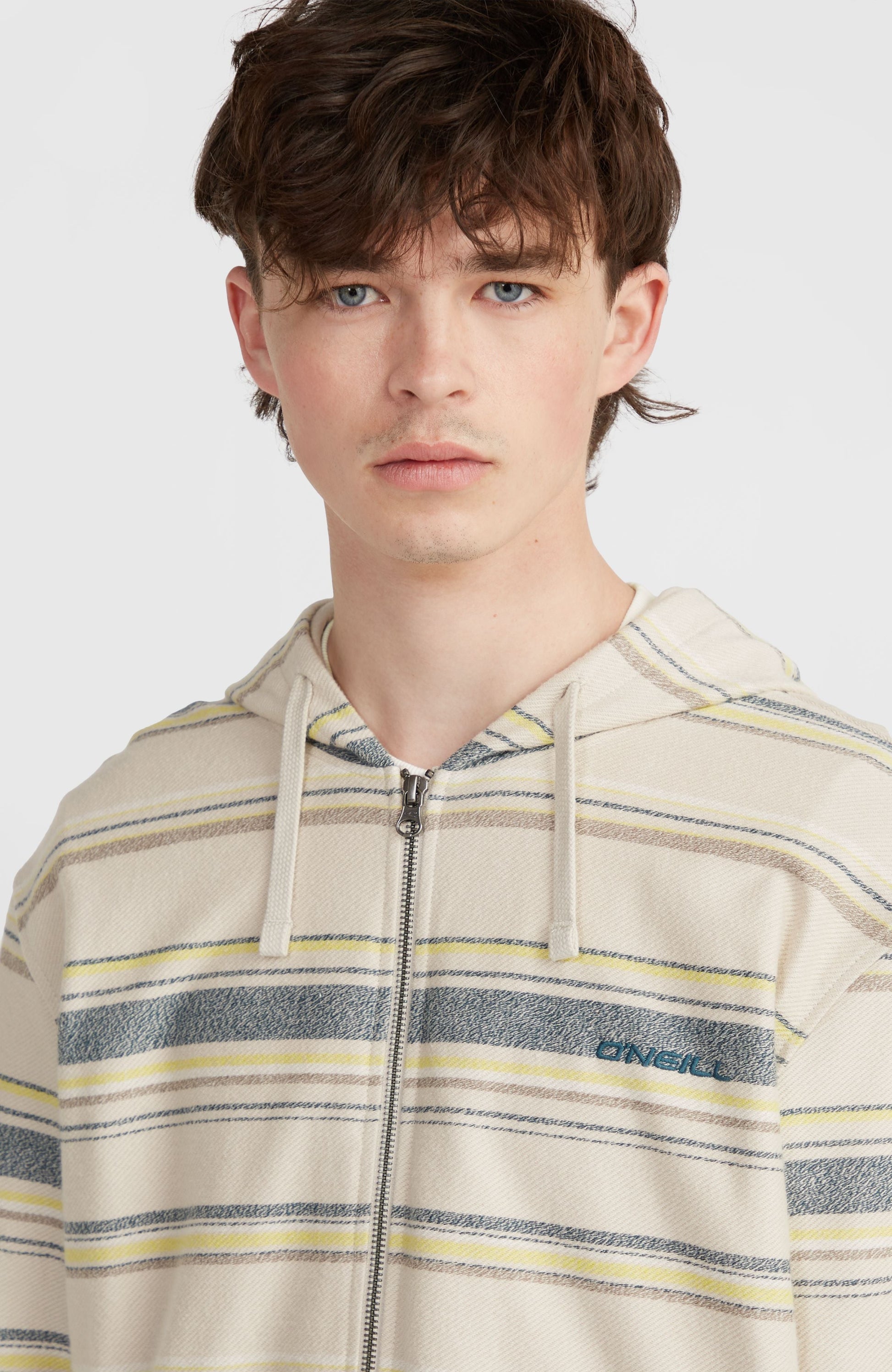 Bavaro Full-Zip Hoodie Men Grey Vintage Stripe
