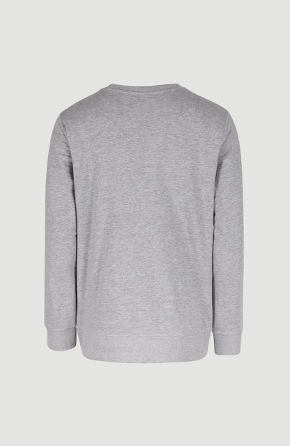 O'Neill Logo Crew Sweatshirt Men Silver Melee