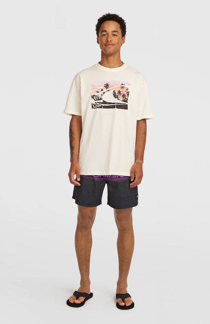 O’Neill Gradient T-Shirt Men Snow White