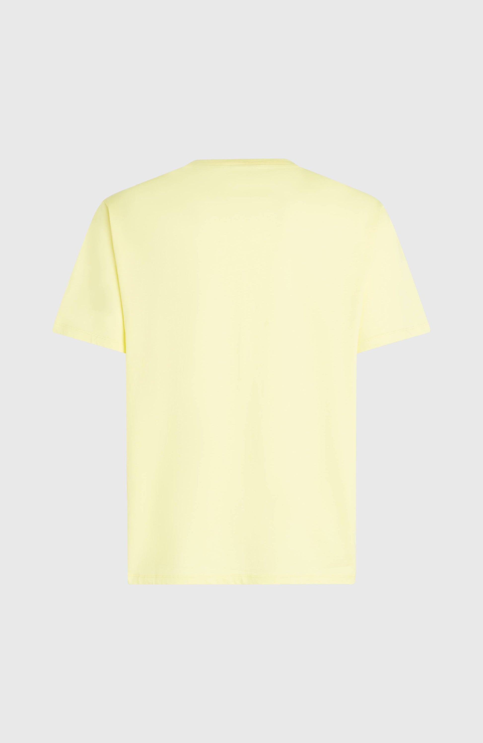 O'Neill Must-Have Graphic T-Shirt Men Rainforest Dew
