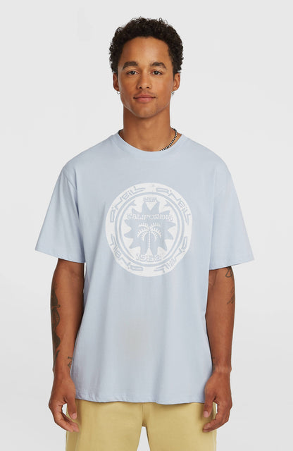 O'Neill Must-Have Graphic T-Shirt Men Spindle