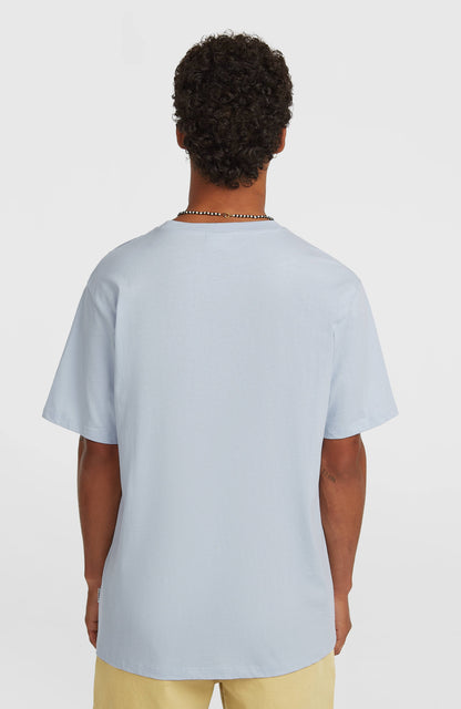 O'Neill Must-Have Graphic T-Shirt Men Spindle