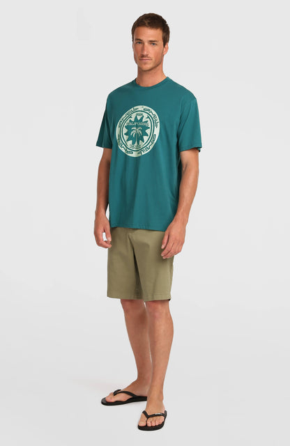 O'Neill Must-Have Graphic T-Shirt Men Botanical Heat