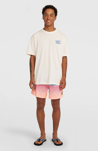 O'Neill Photo Back Print T-shirt Men Snow White