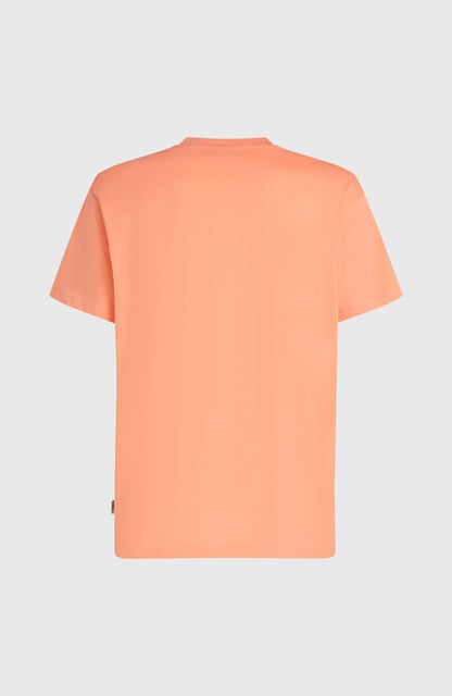 O’Neill Logo Stripe T-Shirt Men Funky Peach