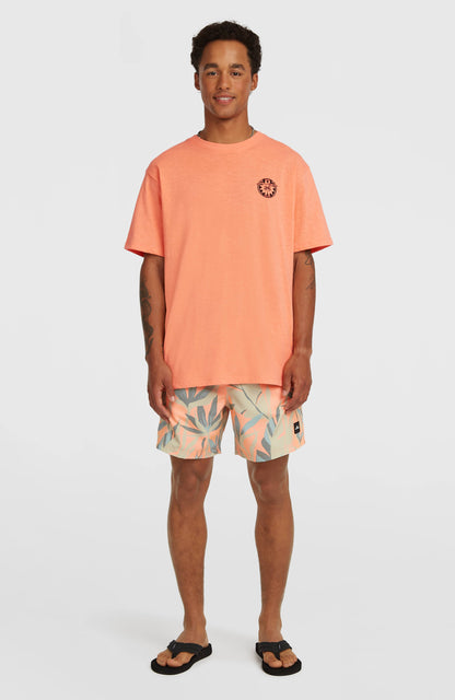 O’Neill Slub Back Print T-Shirt Men Funky Peach