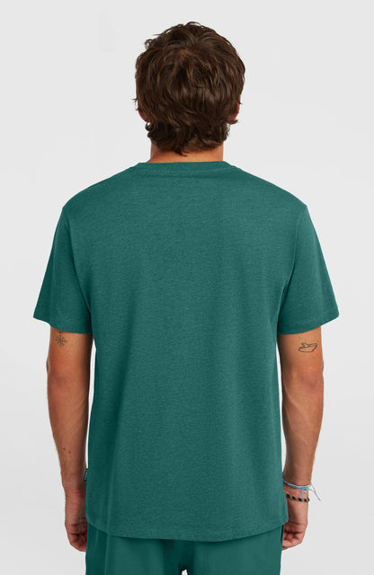 Melange Chest Print T-Shirt Men Botanical Heat