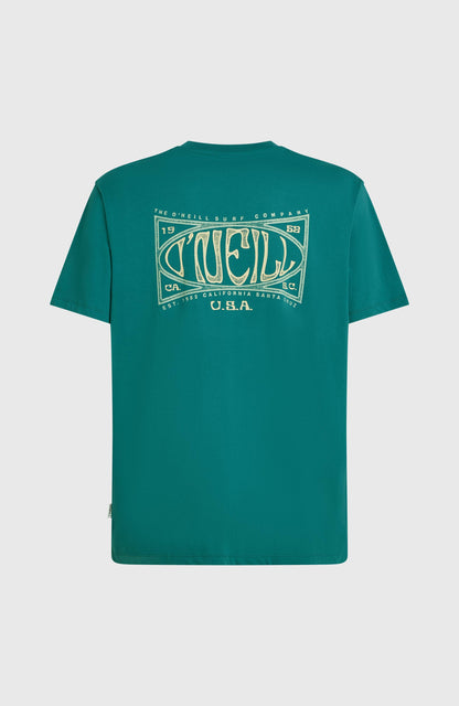 Box Logo T-Shirt Men Botanical Heat