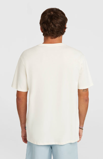 O'Neill Small Logo T-Shirt Men Snow White