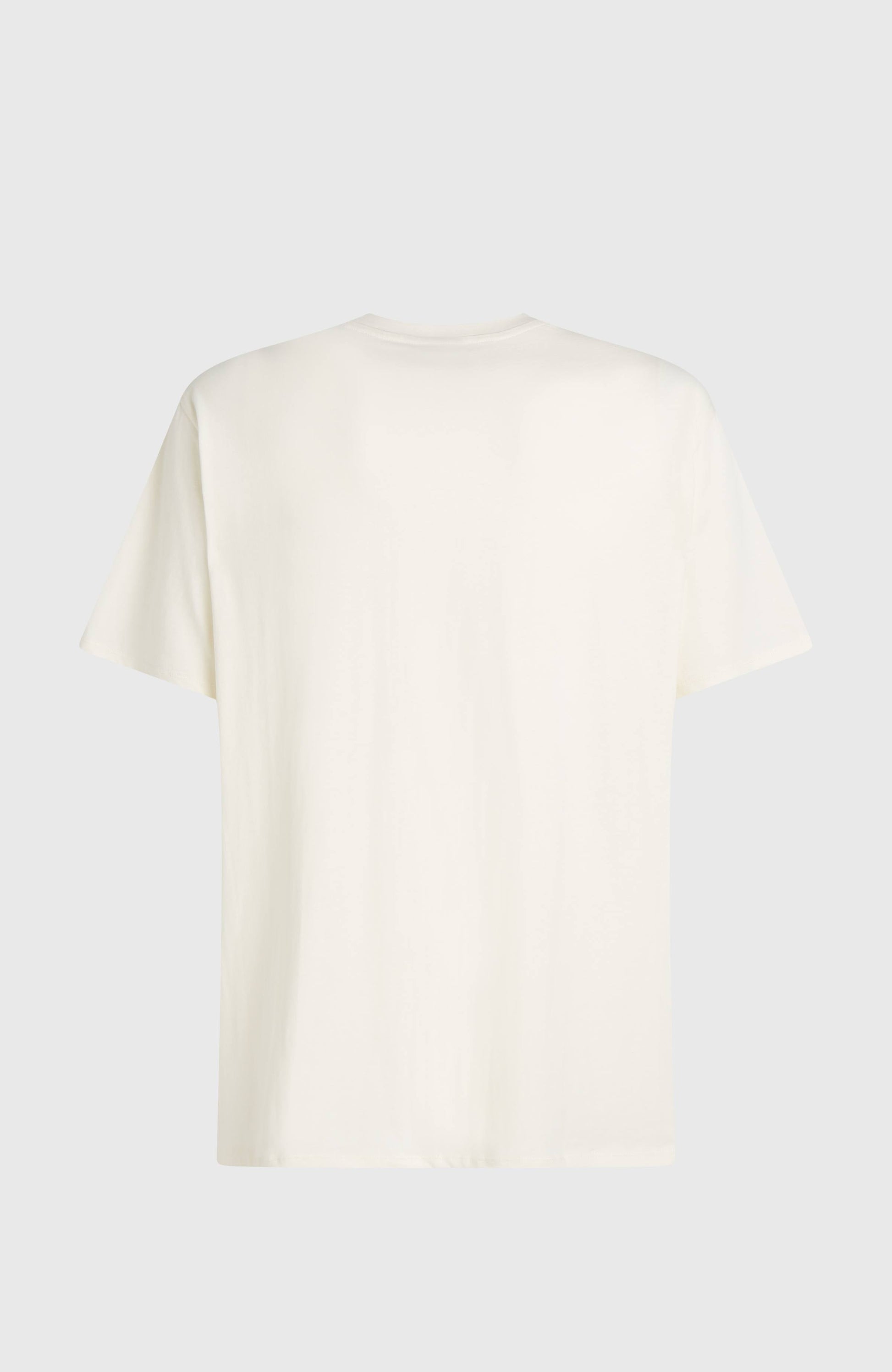 O'Neill Small Logo T-Shirt Men Snow White
