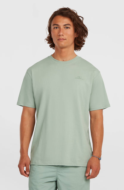 O'Neill Small Logo T-Shirt Men Marble Arch