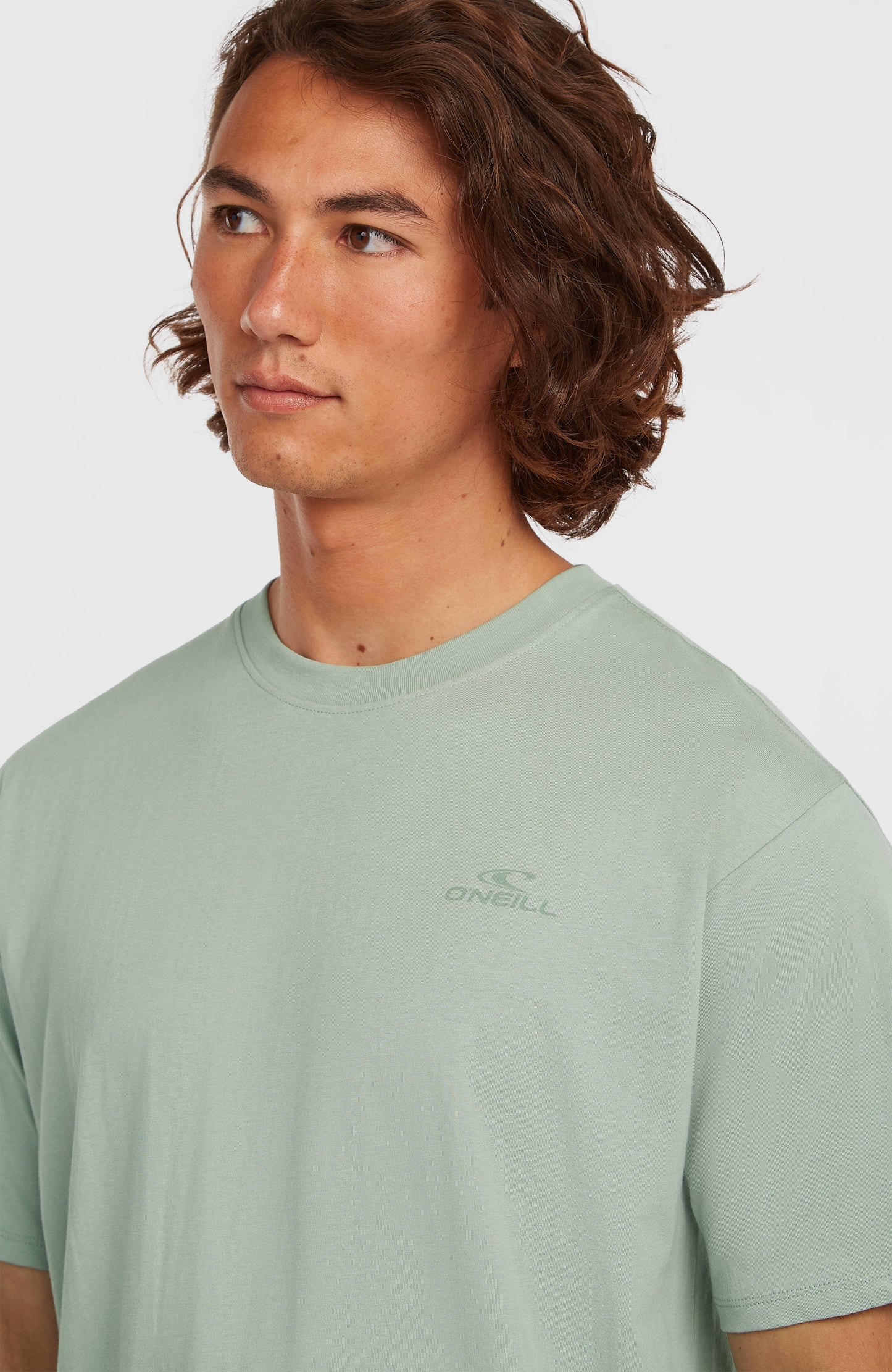 O'Neill Small Logo T-Shirt Men Marble Arch