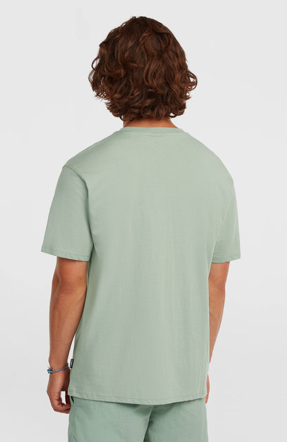 O'Neill Small Logo T-Shirt Men Marble Arch