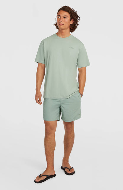 O'Neill Small Logo T-Shirt Men Marble Arch