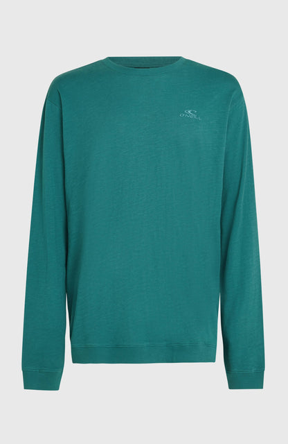 O'Neill Slub Long-Sleeve T-Shirt Men Botanical Heat