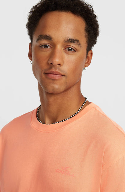 O'Neill Small Logo T-Shirt Men Funky Peach