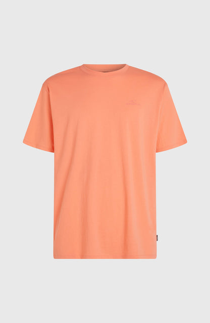 O'Neill Small Logo T-Shirt Men Funky Peach