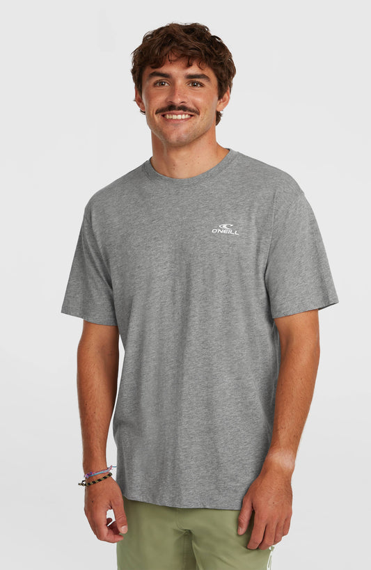 O'Neill Small Logo T-Shirt Men Silver Melee