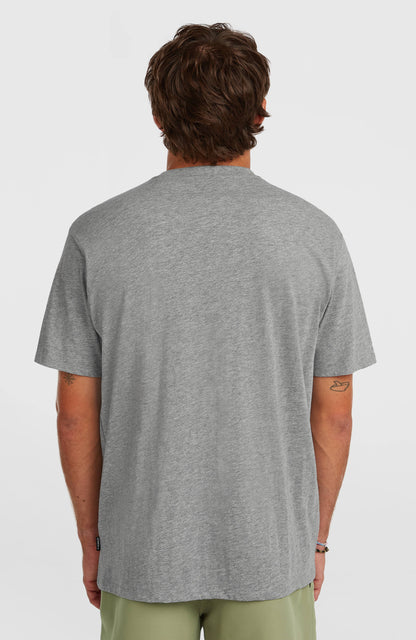 O'Neill Small Logo T-Shirt Men Silver Melee